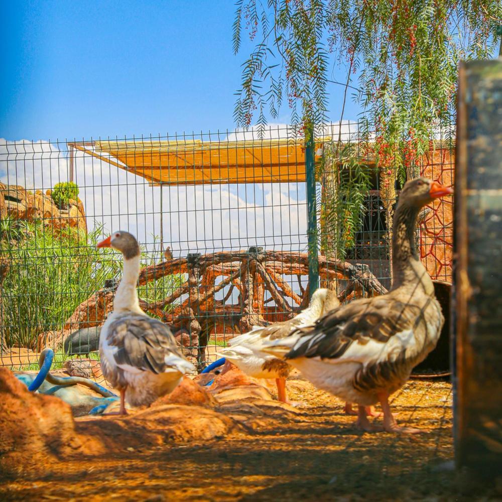 Hotel Jnane Riad Douar Akkara Esterno foto